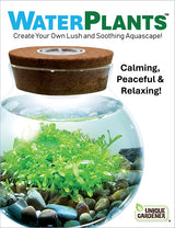 Waterplants Glass Terrarium
