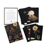 Floral note cards on a white background