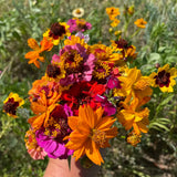 Bird Lover's Meadow Mix- Art Seed Shaker