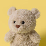 Beige teddy bear on a yellow background