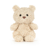 Small beige teddy bear on a white background