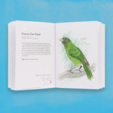 An open illustrated book showing a page about the Green Cat Turd, with printed text on the left and a watercolor-style drawing of the bird on the right, photographed against a bright blue background.