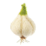 Korean Bubble Sponges