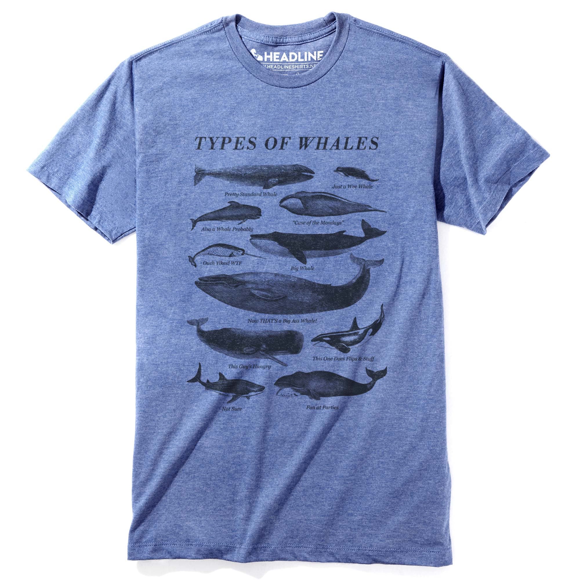 T-Shirt Types of Whales