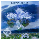 A seed packet with a painting of a blue flower and text 'Lacy Phacelia'