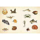 Cabinet of Curiosities: Over 1,000 Curated Stickers from the Fascinating Collections of the Smithsonian