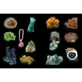 Cabinet of Curiosities: Over 1,000 Curated Stickers from the Fascinating Collections of the Smithsonian