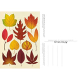 Arboretum Postcards Box
