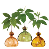 Avocado Vase