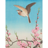Traditional Japanese woodblock print of a bird flying over cherry blossoms