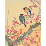 Traditional Japanese artwork of two birds on a branch with pink blossoms