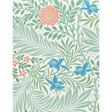 Boxed Notes - William Morris