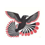 Black bird with red accents on a white background