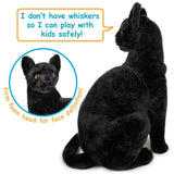 Boone The Black Cat 13"