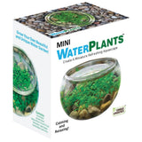 Mini Water Plants water garden kit box showing a small round glass bowl with green aquatic plants and stones, on a white background.