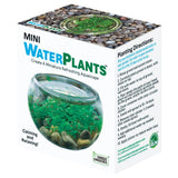 A boxed product labeled 'MINI WATERPLANTS' by Unique Gardens, shown at a slight angle on a white background. The box features a large photo of a round glass bowl filled with green aquatic plants and small stones, plus planting directions printed on the side.