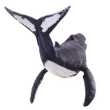 Plush toy of a whale on a white background
