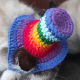 Cat wearing a colorful crocheted rainbow hat.