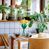 Dining area with wooden chairs, a table, and various plants on a shelf.