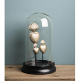 Glass Round Dome With Ex-Voto Ornaments