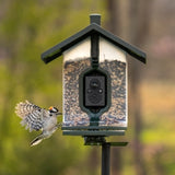 Birdhouse with a bird perched on it against a blurred natural background