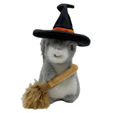 Squirrel with Witch Hat