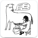 Coaster - David Shrigley - Assorted