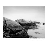 American Impressionist: Childe Hassam and the Isles of Shoals—Limited Edition