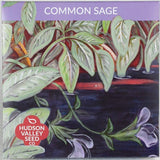 Common Sage - Art Seed Packs