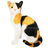 Catalina The Calico Cat