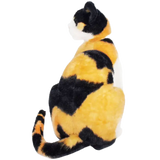 Catalina The Calico Cat