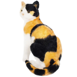 Catalina The Calico Cat