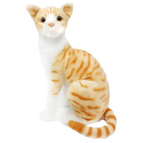 Tobias The Orange Tabby Cat