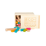 Eco-Bricks - Color 54 Piece