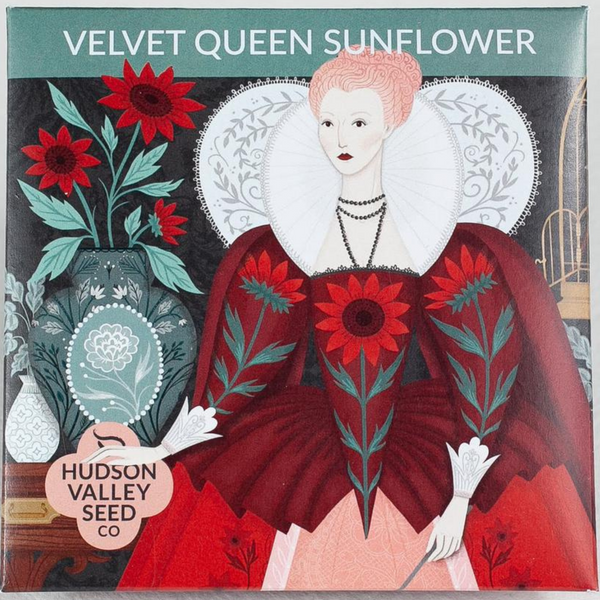 Velvet Queen Sunflower - Art Seed Packs