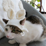 Cat wearing a bunny hat on a soft surface with a plant in the background