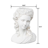 White classical bust with dimensions indicated on a white background