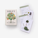 Sibley Tree Identification Flashcards