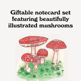 Giftable notecard set with beautifully illustrated mushrooms on a white background