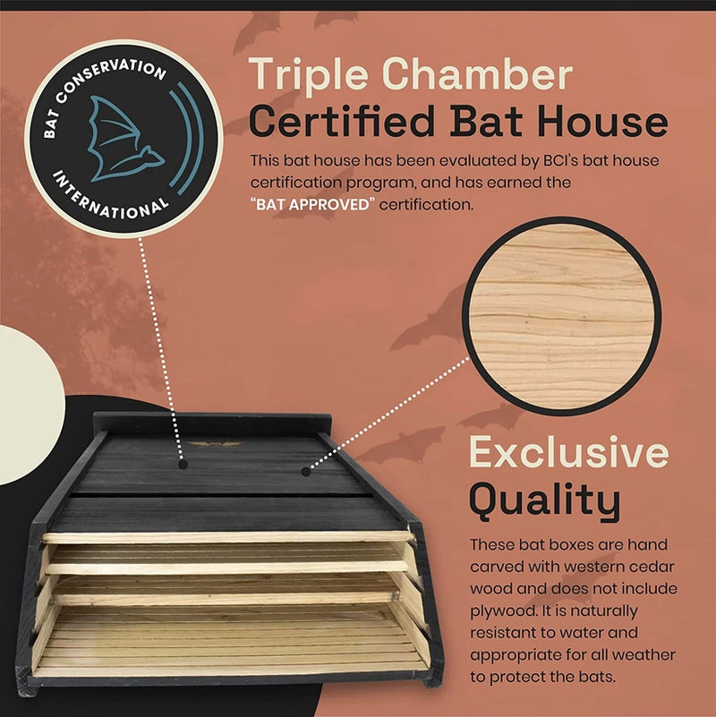 Bat House Triple-Chamber