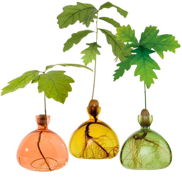 Acorn Vase