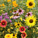 Bird Lover's Meadow Mix- Art Seed Shaker