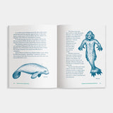 An open book spread showing illustrated pages about a mermaid, with blue line drawings and blocks of text on a white background.