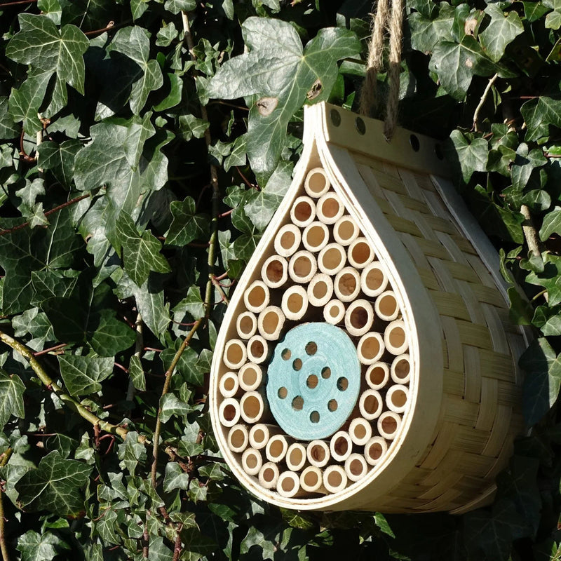 Dewdrop Beneficial Insect House