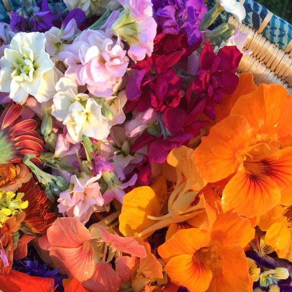 Edible Flower Mix - Art Seed Packs