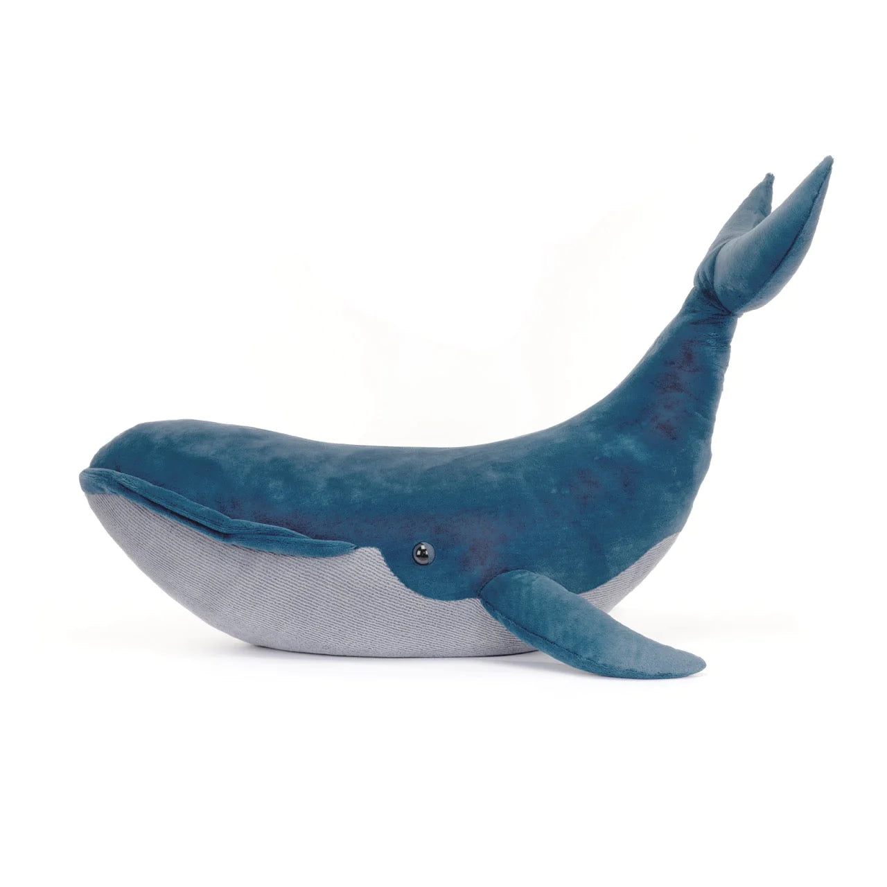 Gilbert The Great Blue Whale Gigantic – PEM Shop