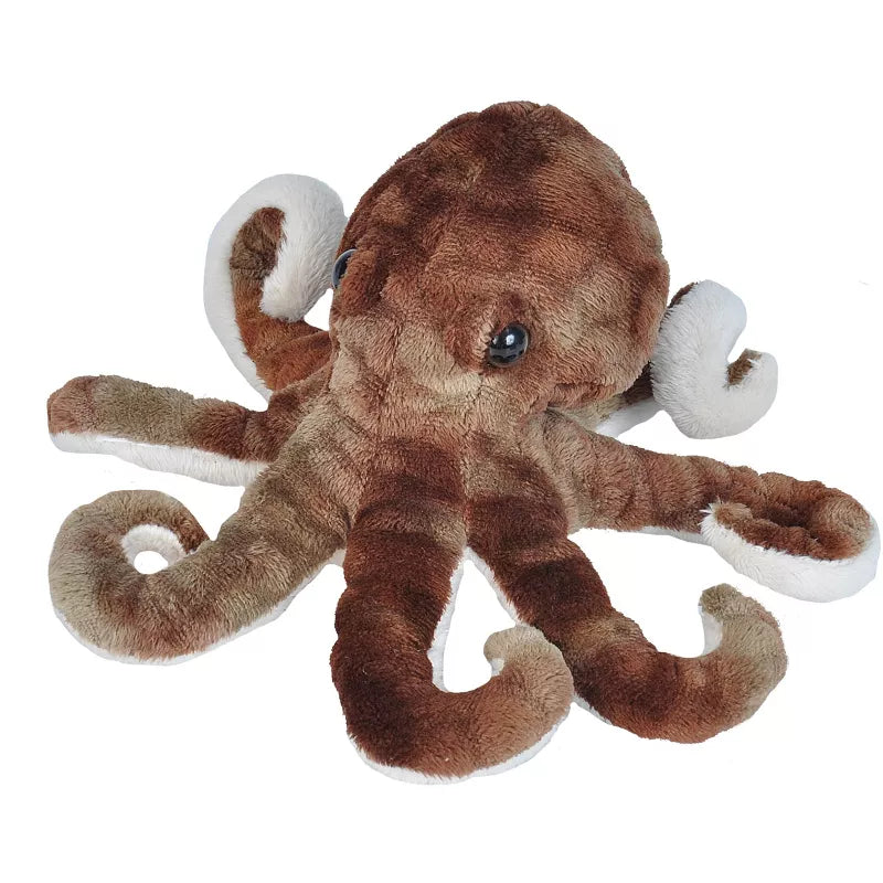 Octopus Sea Critter