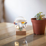 Kikkerland Galileo Thermometer, featuring a 4-inch glass sphere with colored liquid thermometers inside, resting on a wooden base.