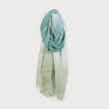 Scarf Ombre Assorted Colors