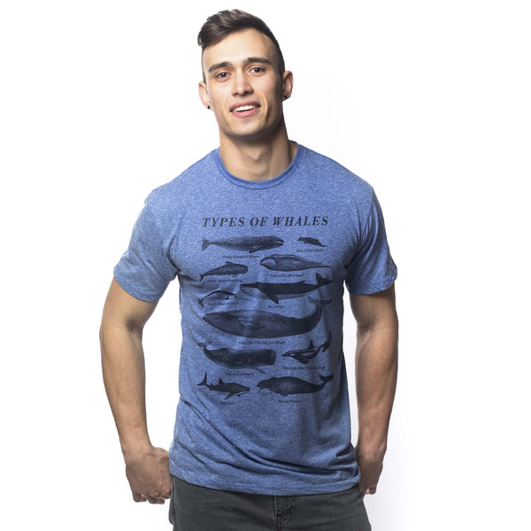 T-Shirt Types of Whales